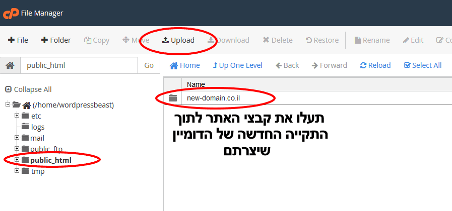 העלאת קבצי האתר לדומיין החדש שיצרתם
