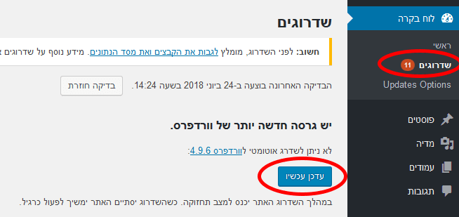 עדכון וורדפרס באופן ידני