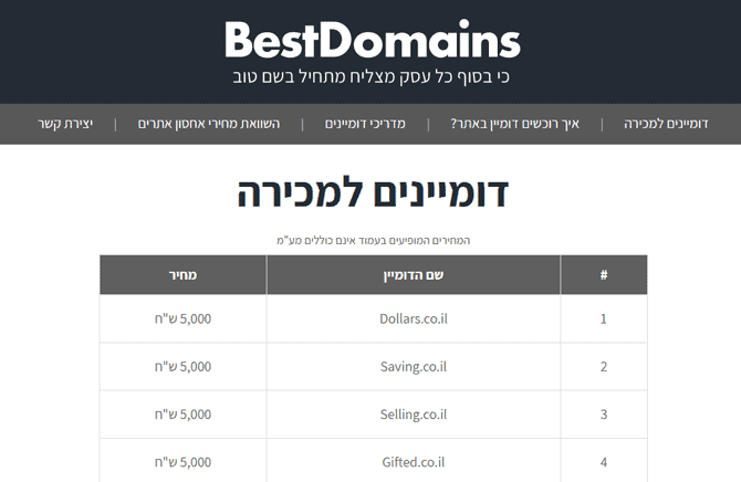 BestDomains - אתר למכירת דומיינים